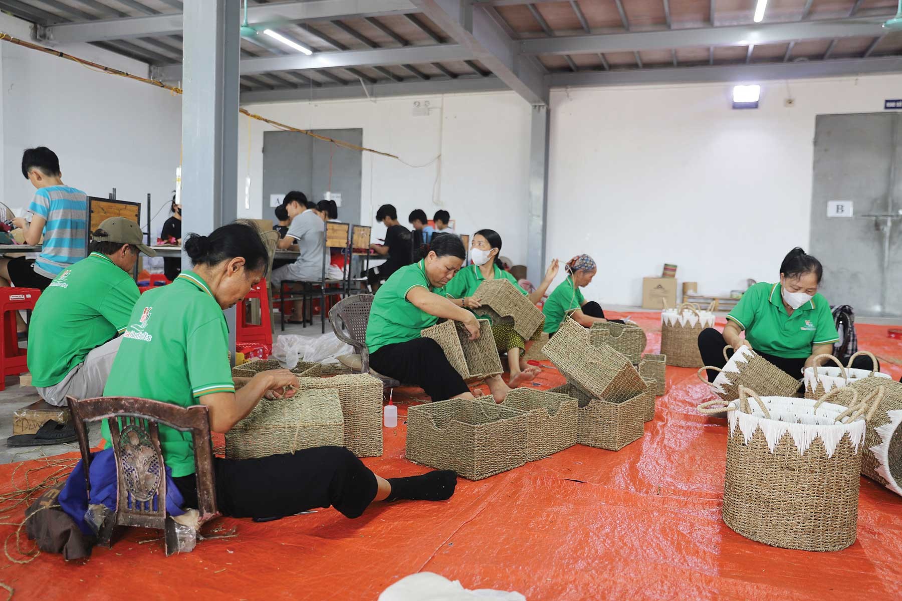 Làng cói Kim Sơn - nghề truyền thống hòa cùng nhịp xuất khẩu toàn cầu