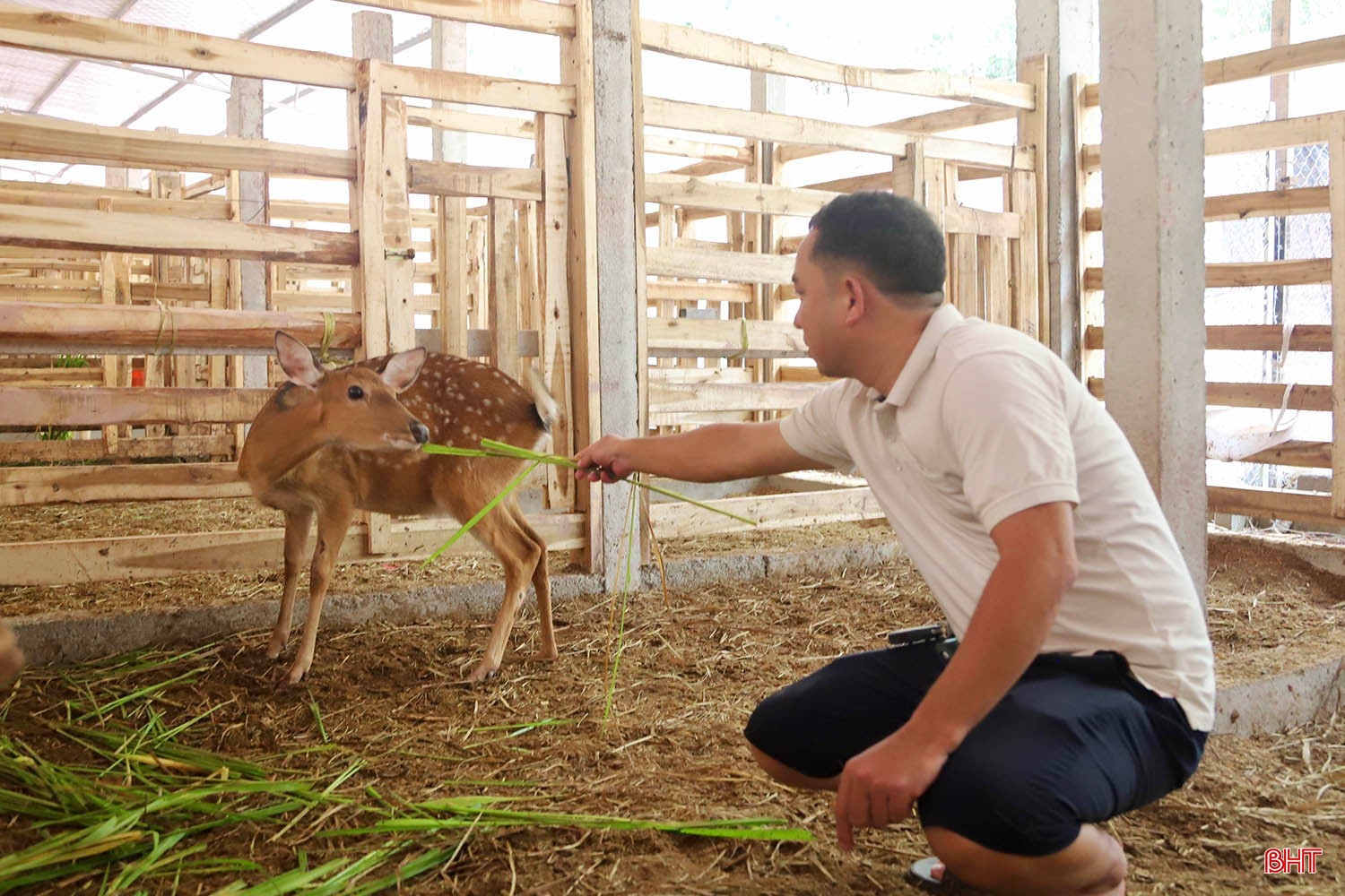 Bên trong trang trại tiền tỷ cho ra “thần dược” quý hiếm ở Hà Tĩnh