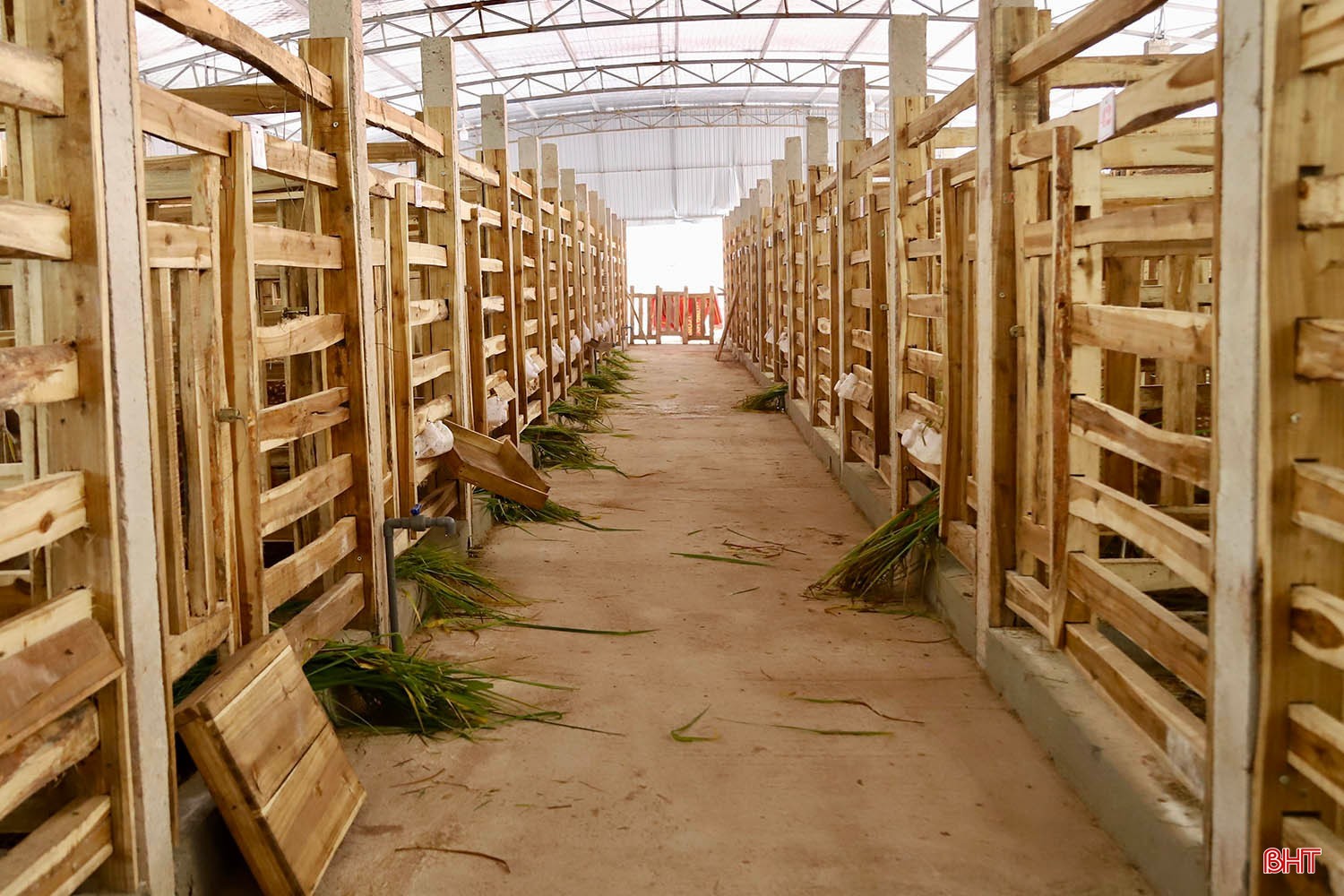Bên trong trang trại tiền tỷ cho ra “thần dược” quý hiếm ở Hà Tĩnh
