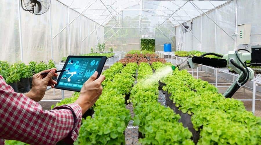 Xu hướng vật tư làm vườn năm 2026: Tưới tiêu thông minh, phân bón xanh, tự động gieo bón