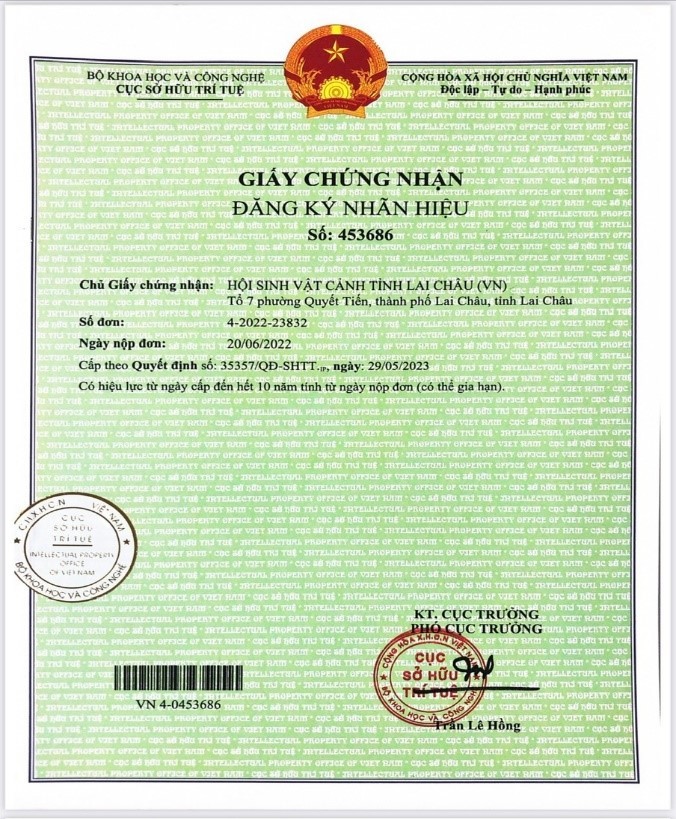Hoa lan Lai Châu được bảo hộ nhãn hiệu tập thể và chuyển giao kỹ thuật