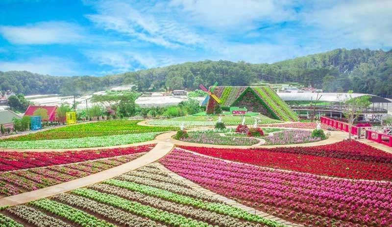 Làng hoa Vạn Thành – Viên ngọc rực rỡ giữa lòng Đà Lạt
