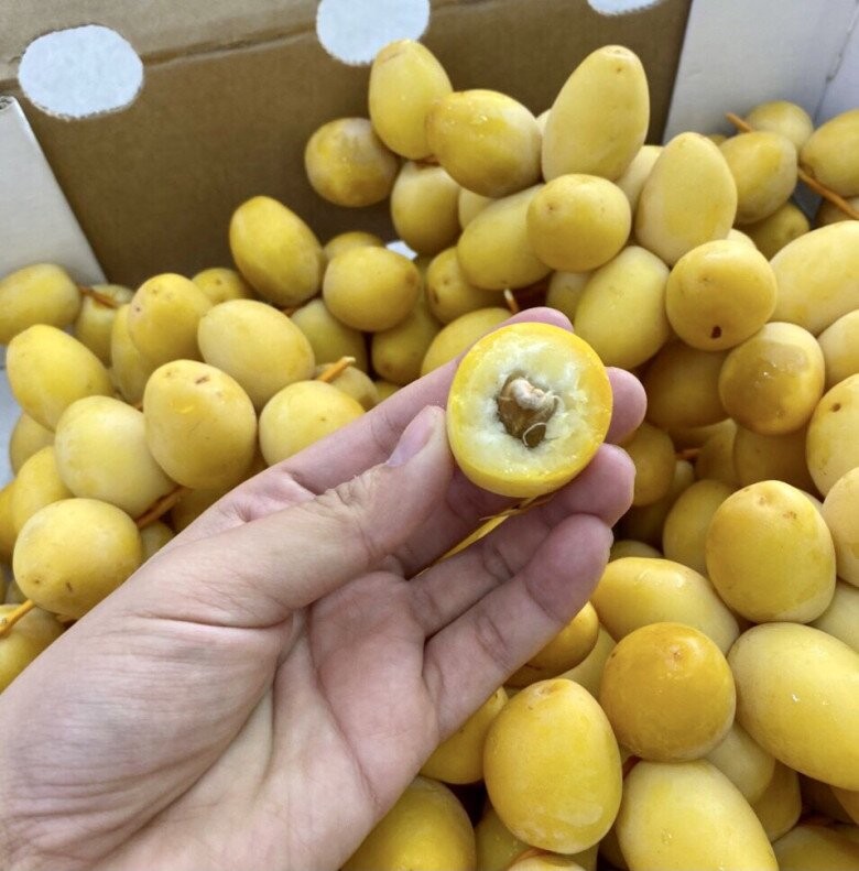 Loại quả đắt đỏ đến từ sa mạc: Từ đặc sản nhà giàu giờ thành hàng phổ thông ai cũng mua được