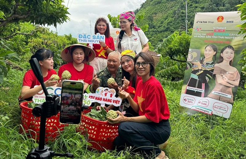 "Cây na số" Thái Nguyên gây sốt trên TikTok