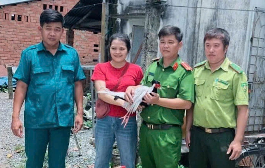 Bắt được gà lôi trắng quý hiếm trong rừng cao su ở Đồng Nai