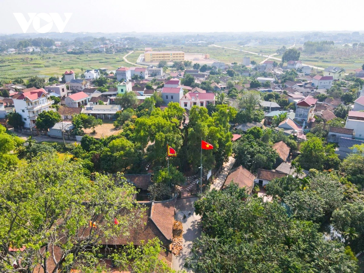 dã hương