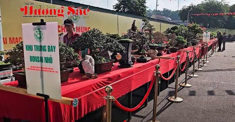 Đồng Nai: Hội SVC Trảng Bom chuẩn bị cho ngày khai mạc triển lãm SVC Trảng Bom lần thứ nhất 2025