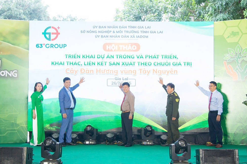 Đàn hương nơi đất đỏ: Hành trình đánh thức “vàng xanh” giữa đại ngàn Tây Nguyên