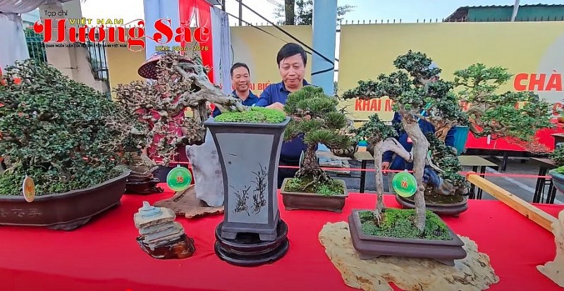 Trao giải tác phẩm bonsai xuất sắc tại Triển lãm Sinh vật cảnh Trảng Bom 2025