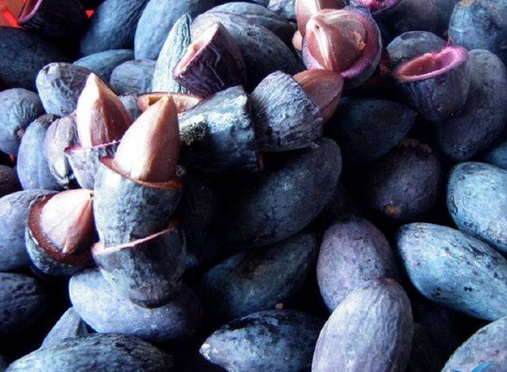 Trám đen Cao Bằng, Tuyên Quang: Loại quả dân dã thành đặc sản tiền triệu hút khách sành ăn