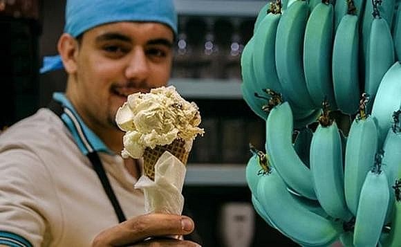 Chuối Java: Giống chuối lạ có giá tiền triệu, hương vị như kem lạnh