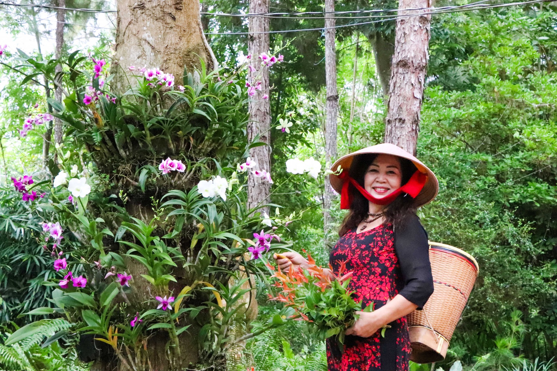 Hành trình xanh của Suối Rao Ecolodge: Từ nhà vườn sinh vật cảnh đến khu du lịch Net Zero tiên phong