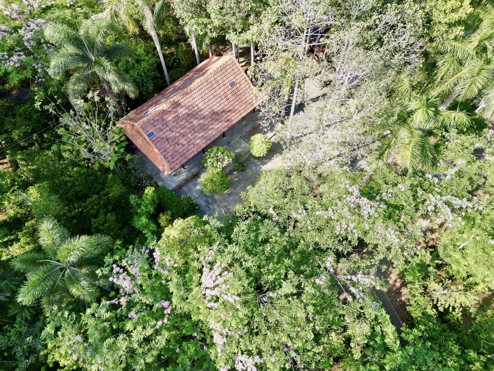 Hành trình xanh của Suối Rao Ecolodge: Từ nhà vườn sinh vật cảnh đến khu du lịch Net Zero tiên phong