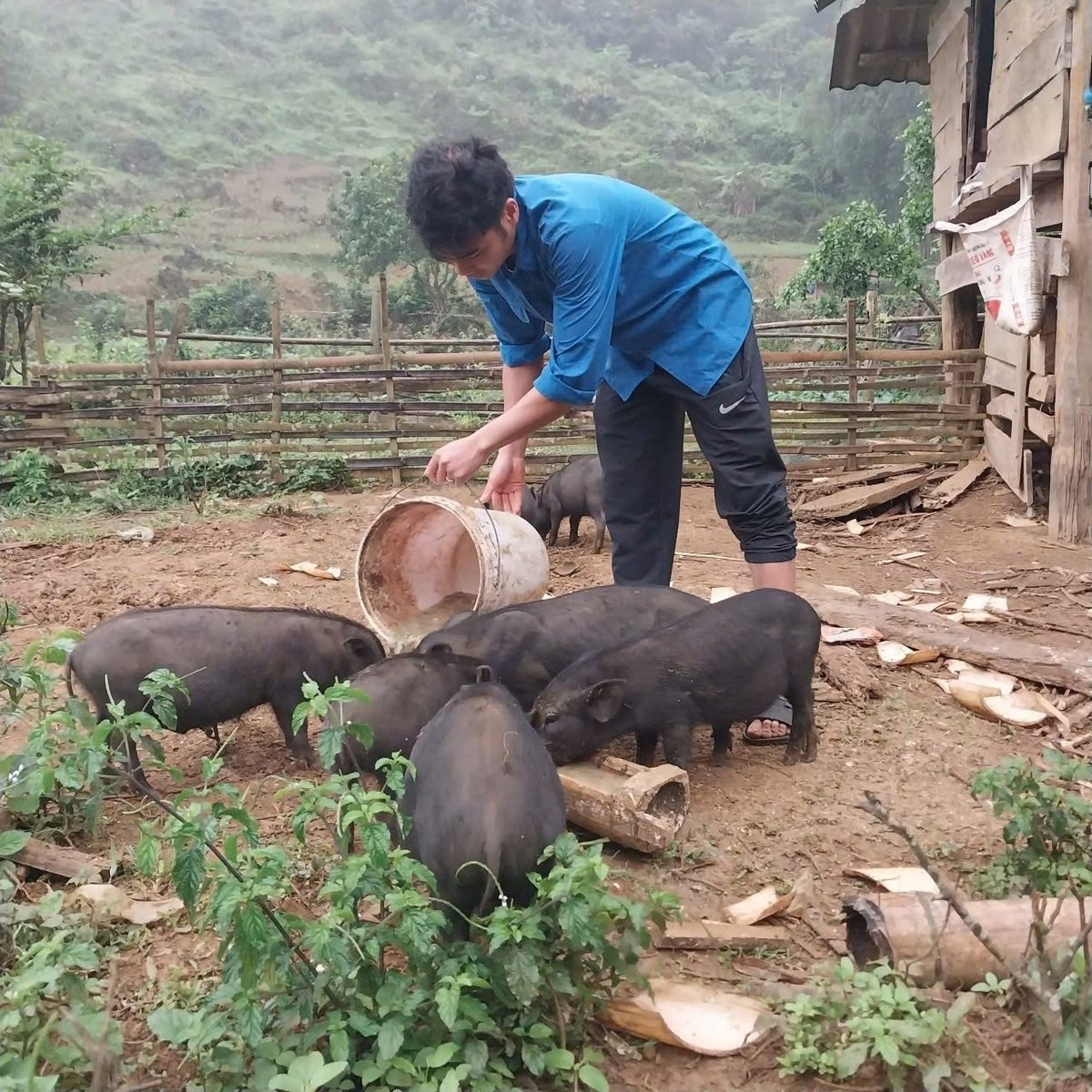 Làm giàu trên đất quê nhờ chăn nuôi gắn với du lịch
