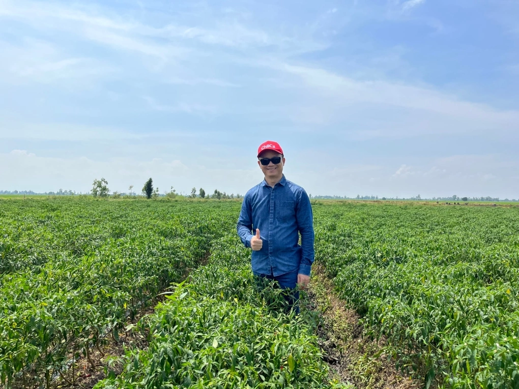 Ớt Đồng Tháp “hồi sinh” nhờ công nghệ lên men, xuất khẩu sang 13 quốc gia