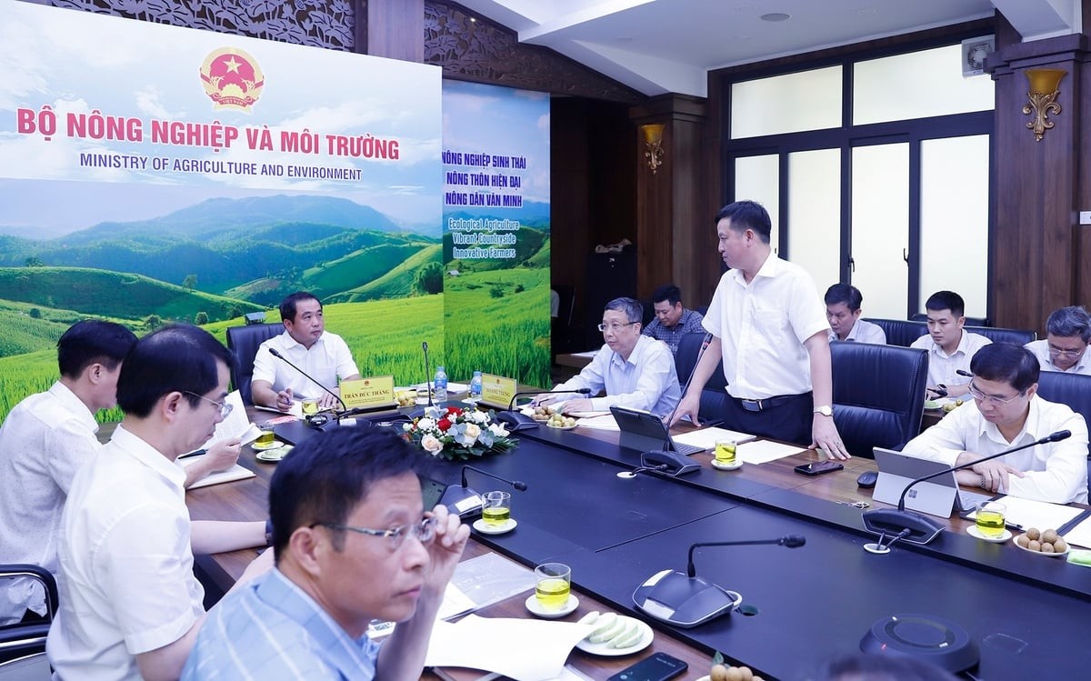 Ngành Trồng trọt – trụ cột nông nghiệp, sẵn sàng cho giai đoạn tăng trưởng mới