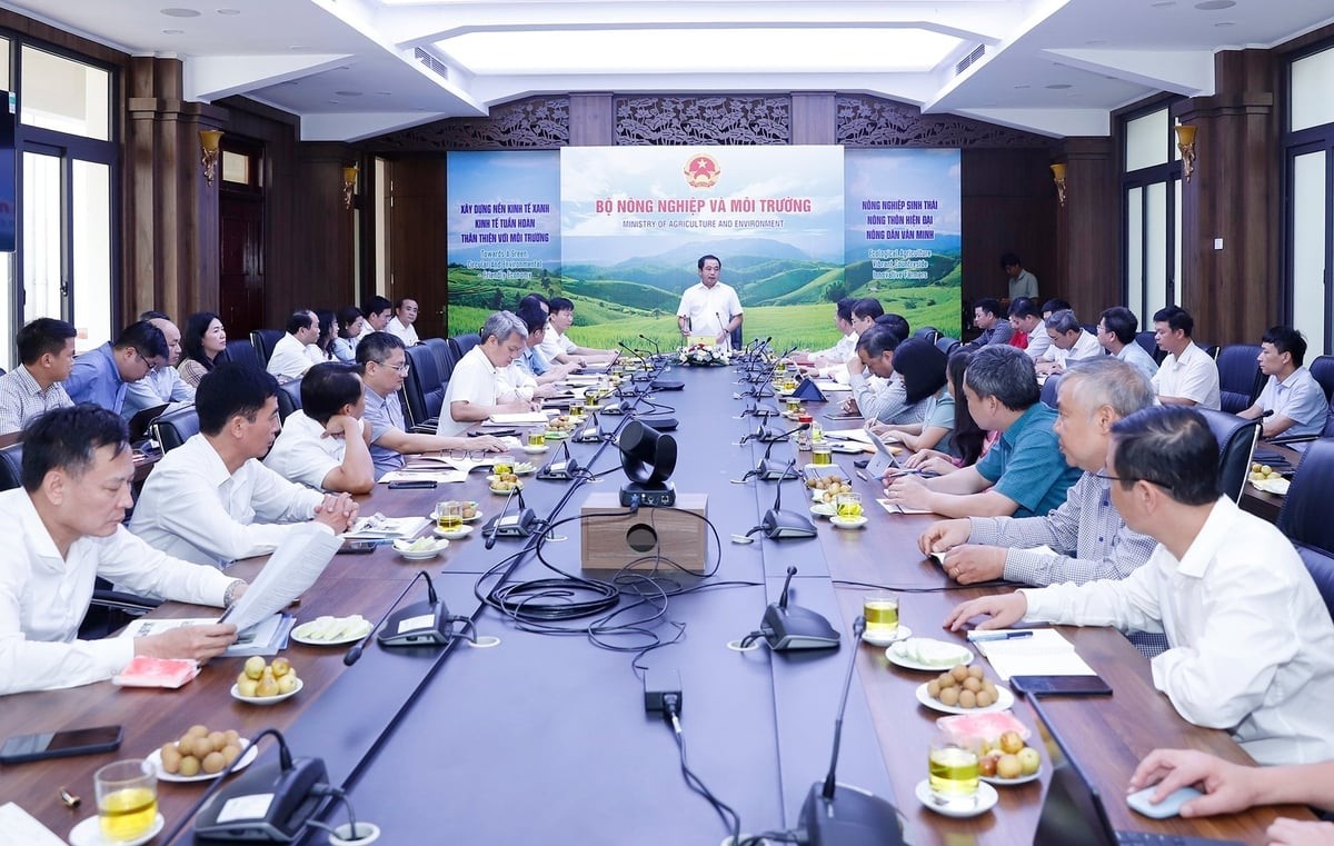 Ngành Trồng trọt – trụ cột nông nghiệp, sẵn sàng cho giai đoạn tăng trưởng mới