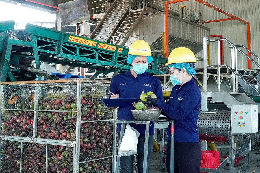 Tây Gia Lai - Thủ phủ mới cho các dự án nông nghiệp công nghệ cao