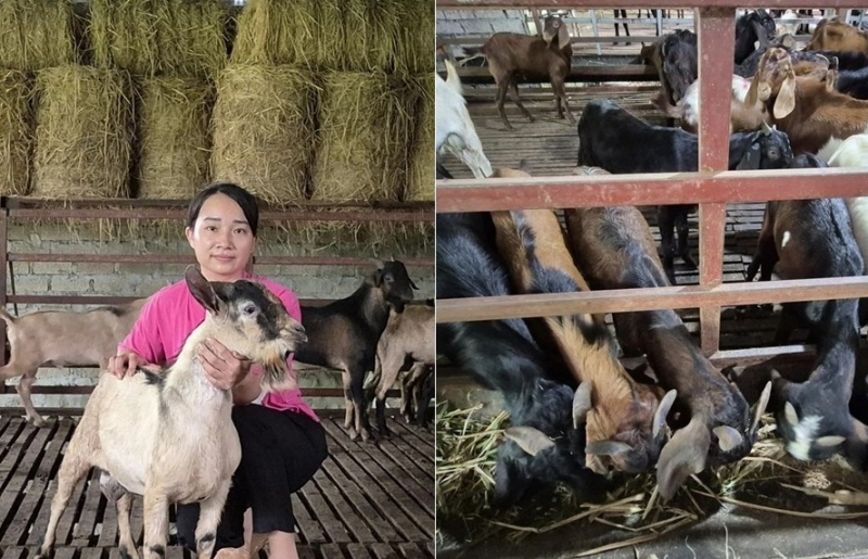 Bí ẩn “kho thuốc bổ biết đi” khiến cả thôn đổi đời