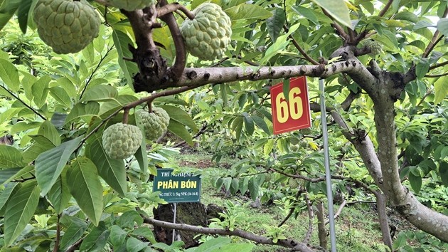 Na Võ Nhai trên môi trường số – điểm nhấn chuyển đổi số nông nghiệp của Thái Nguyên năm 2025