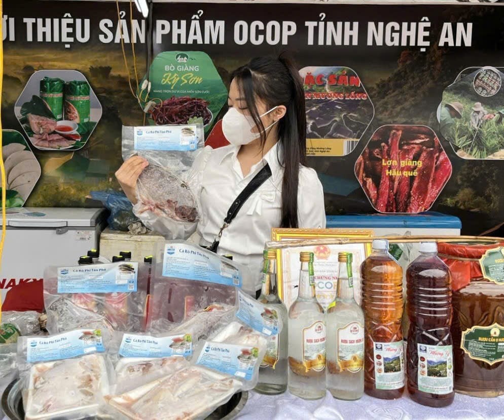 Loại cá ít xương, giàu đạm, nuôi dày đặc ở hồ Nghệ An, hễ vớt lên là hết hàng