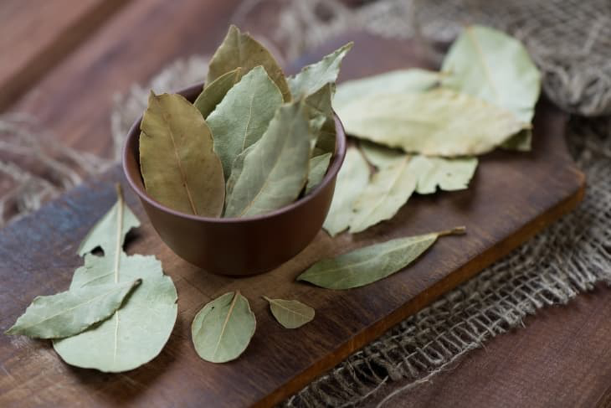 Loại lá rụng đầy góc vườn, ra nước ngoài thành “gia vị vàng” giá 2 triệu một kg