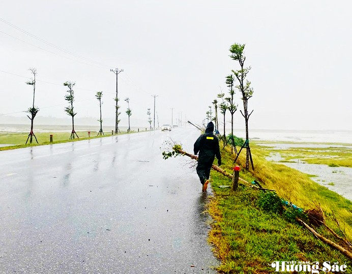 Nhiều công trình, cây xanh đổ gãy ngổn ngang sau bão số 5 Nhiều công trình, cây xanh đổ gãy ngổn ngang sau bão số 5