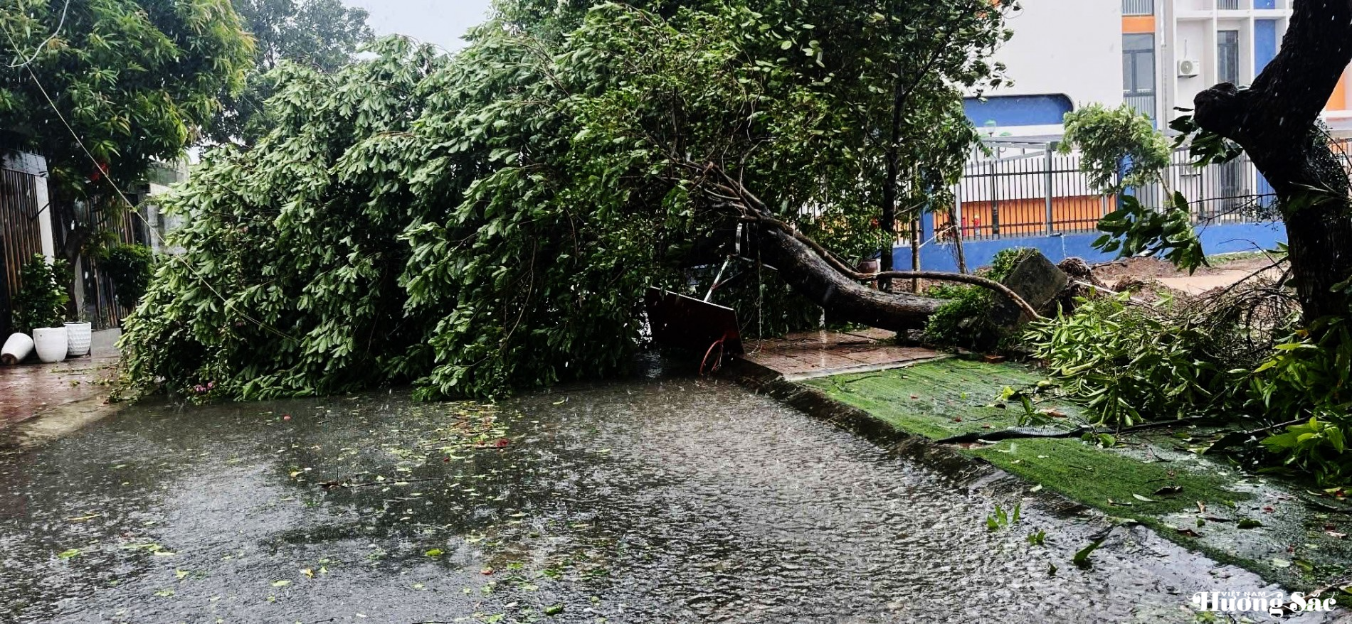 Nhiều công trình, cây xanh đổ gãy ngổn ngang sau bão số 5 Nhiều công trình, cây xanh đổ gãy ngổn ngang sau bão số 5