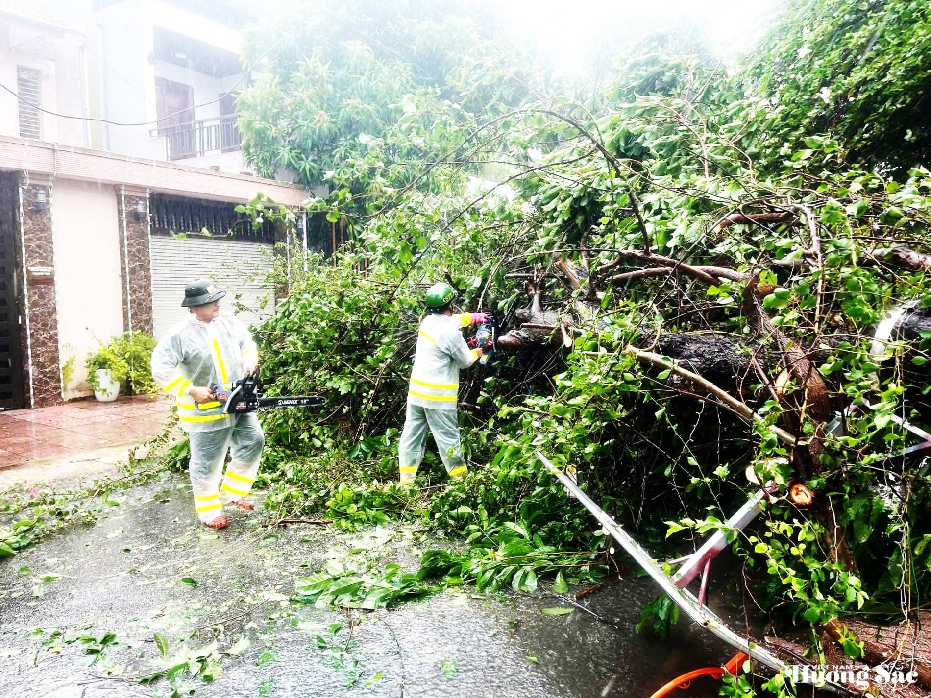 Nhiều công trình, cây xanh đổ gãy ngổn ngang sau bão số 5 Nhiều công trình, cây xanh đổ gãy ngổn ngang sau bão số 5