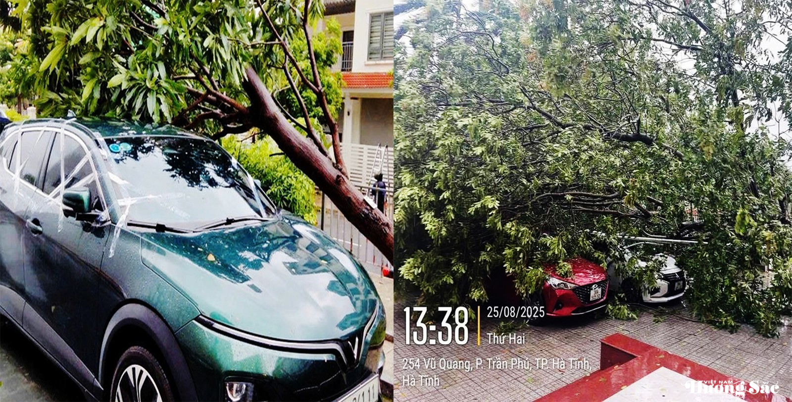 Nhiều công trình, cây xanh đổ gãy ngổn ngang sau bão số 5 Nhiều công trình, cây xanh đổ gãy ngổn ngang sau bão số 5