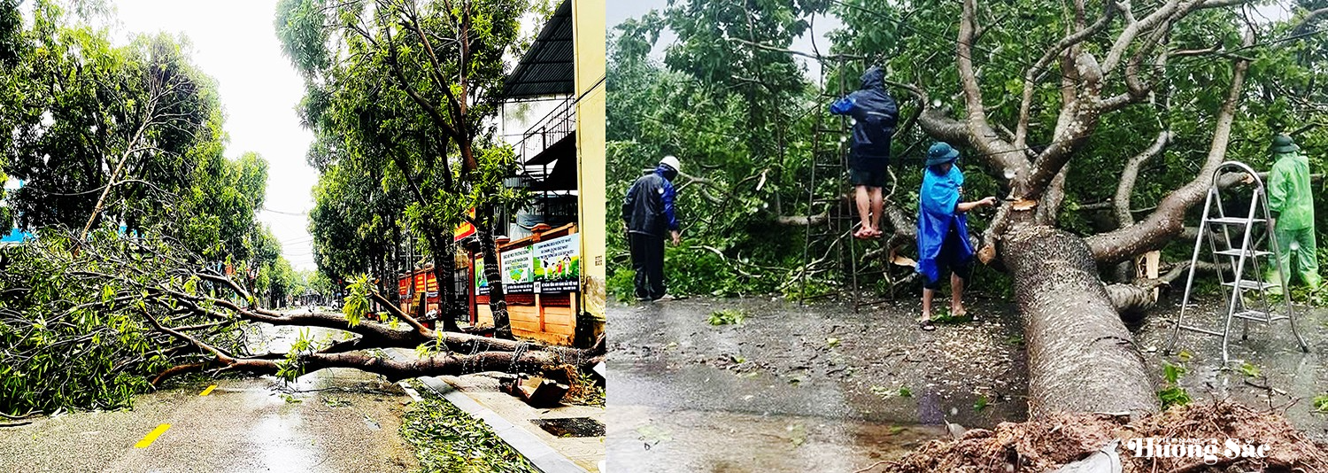 Nhiều công trình, cây xanh đổ gãy ngổn ngang sau bão số 5 Nhiều công trình, cây xanh đổ gãy ngổn ngang sau bão số 5