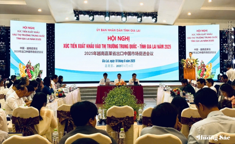 Gia Lai: Cơ hội vàng thúc đẩy xuất khẩu nông sản sang thị trường Trung Quốc