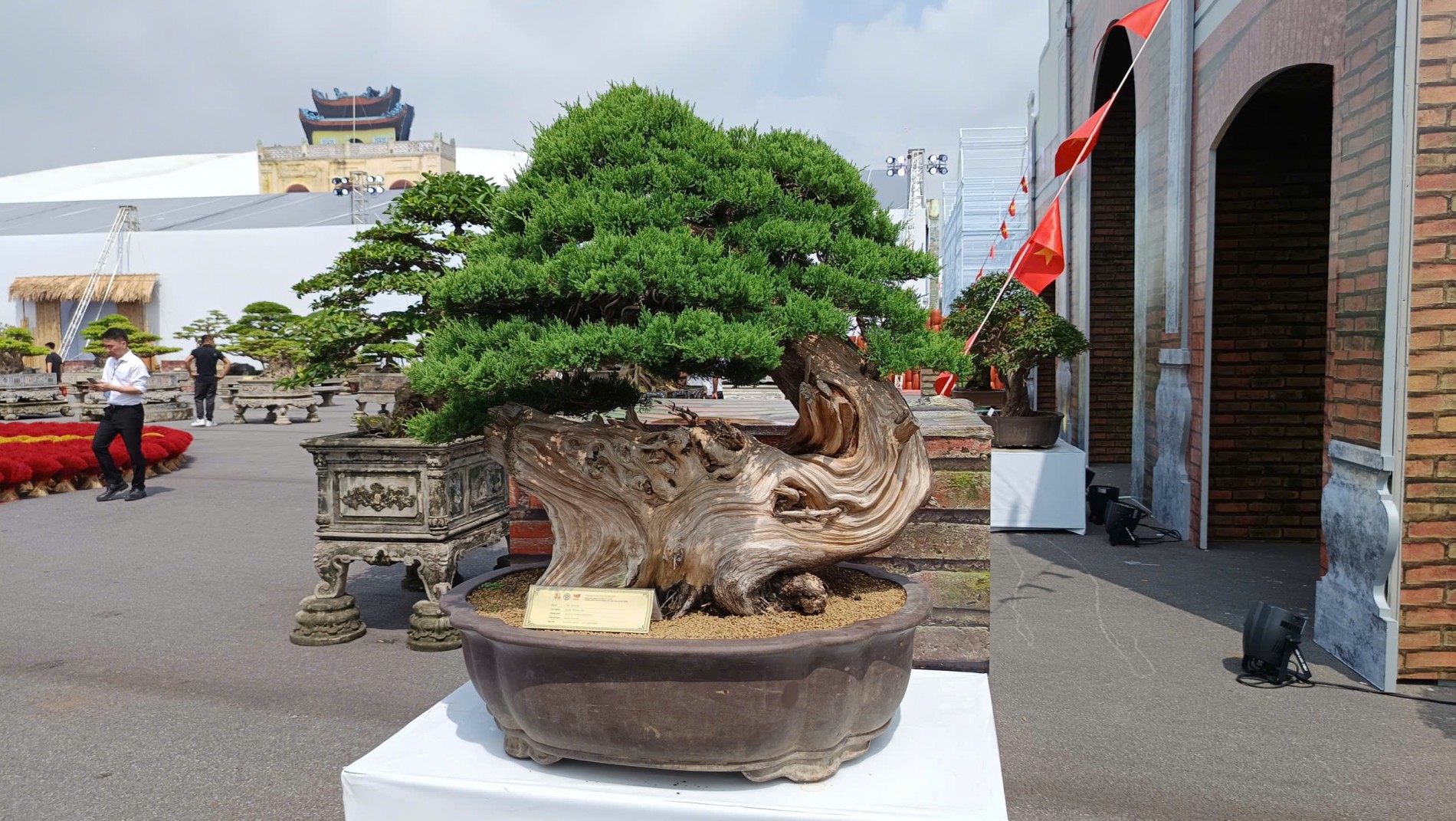 Hội Sinh vật cảnh Hà Nội tái hiện hồn quê trong không gian Triển lãm 80 năm thành tựu quốc gia