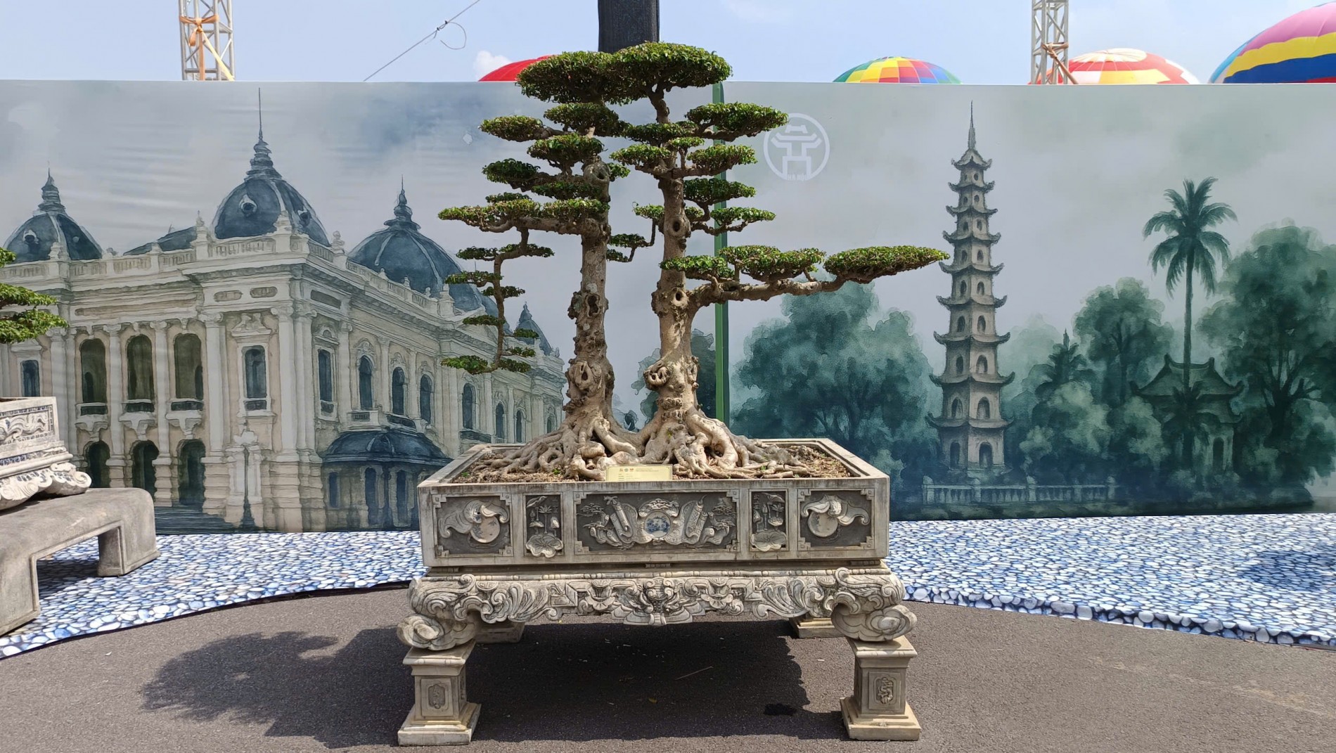 Hội Sinh vật cảnh Hà Nội tái hiện hồn quê trong không gian Triển lãm 80 năm thành tựu quốc gia