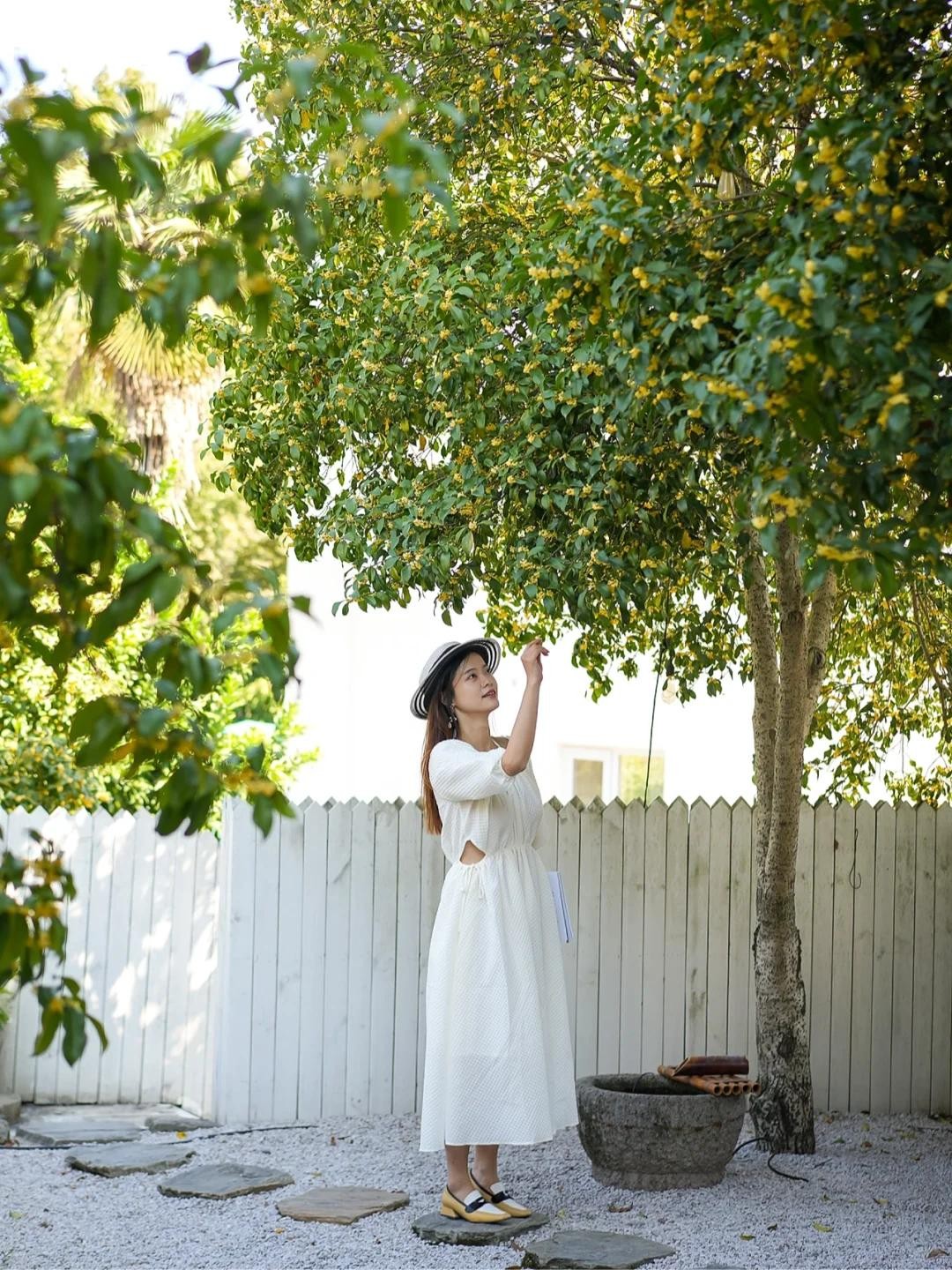 Sân không cây, không phúc không lộc: Trồng 6 loại cây phong thủy, con cháu ngày càng giàu có