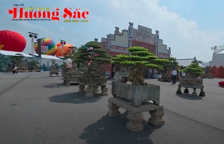 Toàn cảnh hơn 100 cây cảnh trưng bày tại Trung tâm Triển lãm Quốc gia