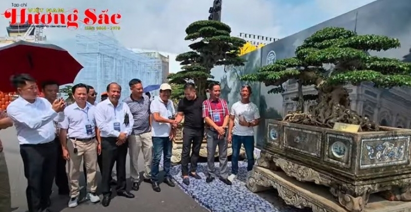 Bắt tay giao dịch siêu phẩm Sanh Nam Điền tại Triển lãm SVC Quốc gia 2025