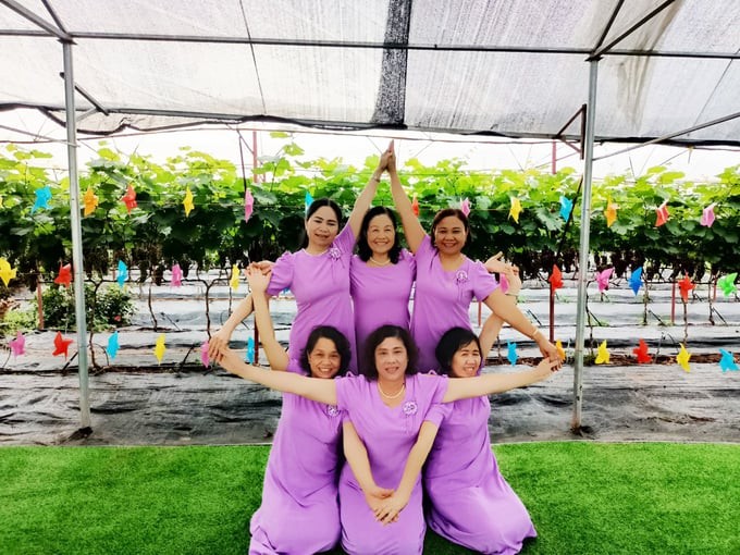 Hoa, cây cảnh và hành trình kiến tạo đô thị xanh cho Thủ đô