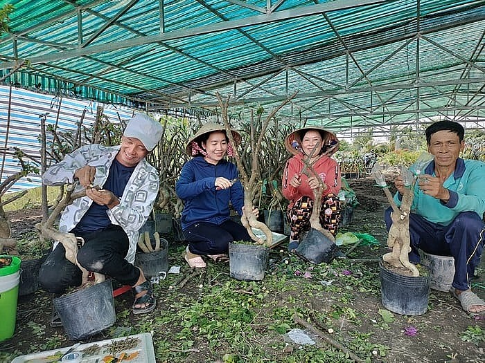 Nữ nông dân Đồng Tháp biến 2 ha đất nhiễm phèn thành vườn hoa giấy tiền tỷ