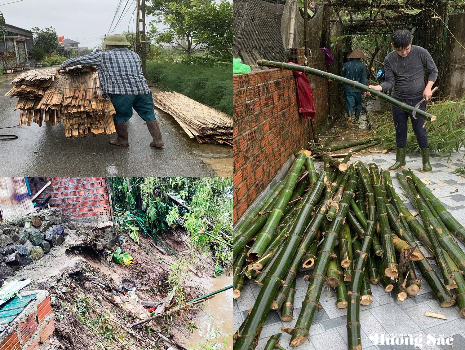 Mưa lũ nhấn chìm hàng chục hecta bưởi ở Hà Tĩnh