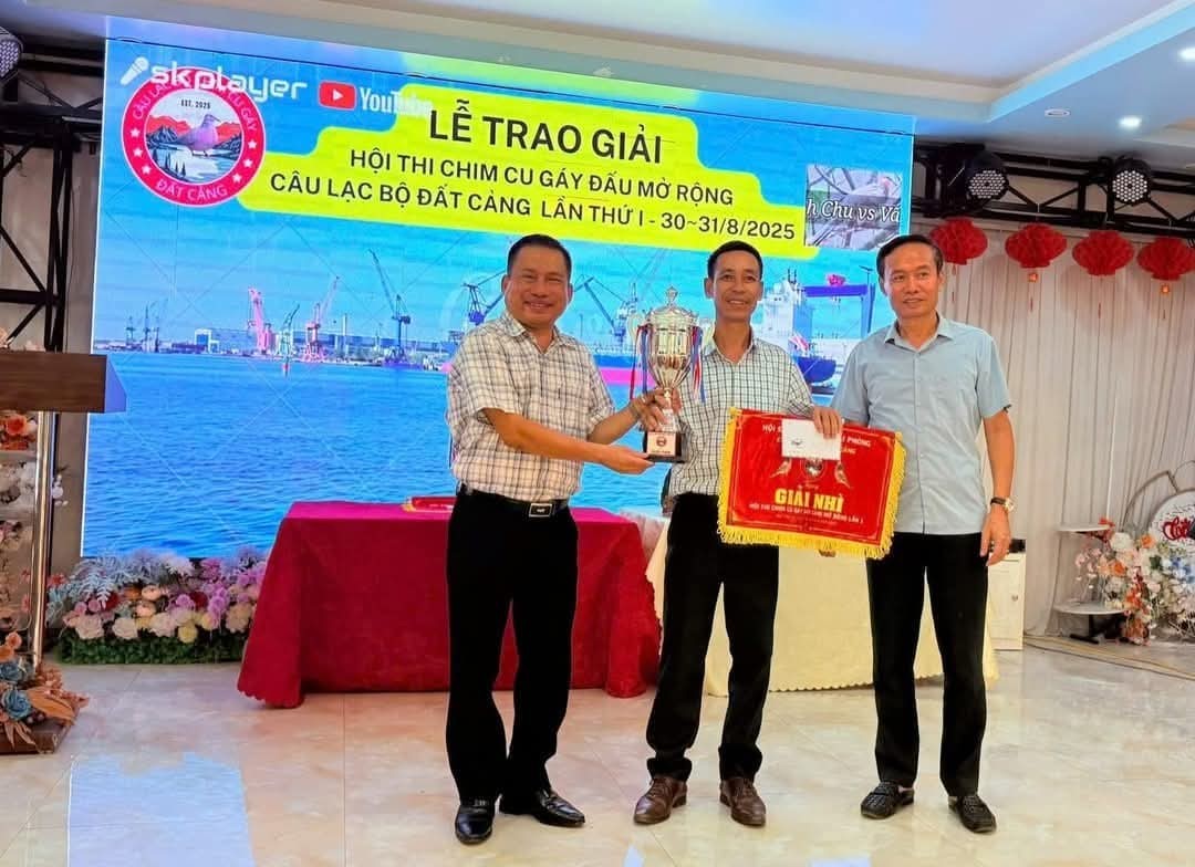 Hải Phòng: Hội thi chim cu gáy đấu Đất Cảng mở rộng lần thứ I