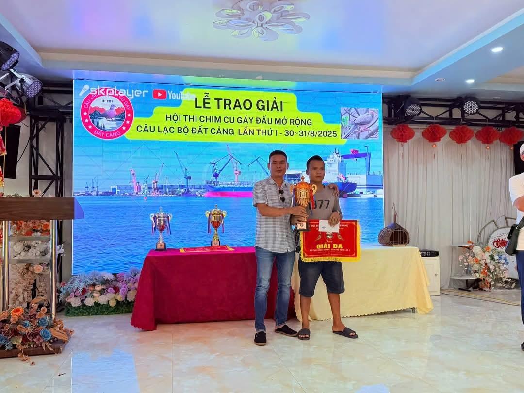 Hải Phòng: Hội thi chim cu gáy đấu Đất Cảng mở rộng lần thứ I