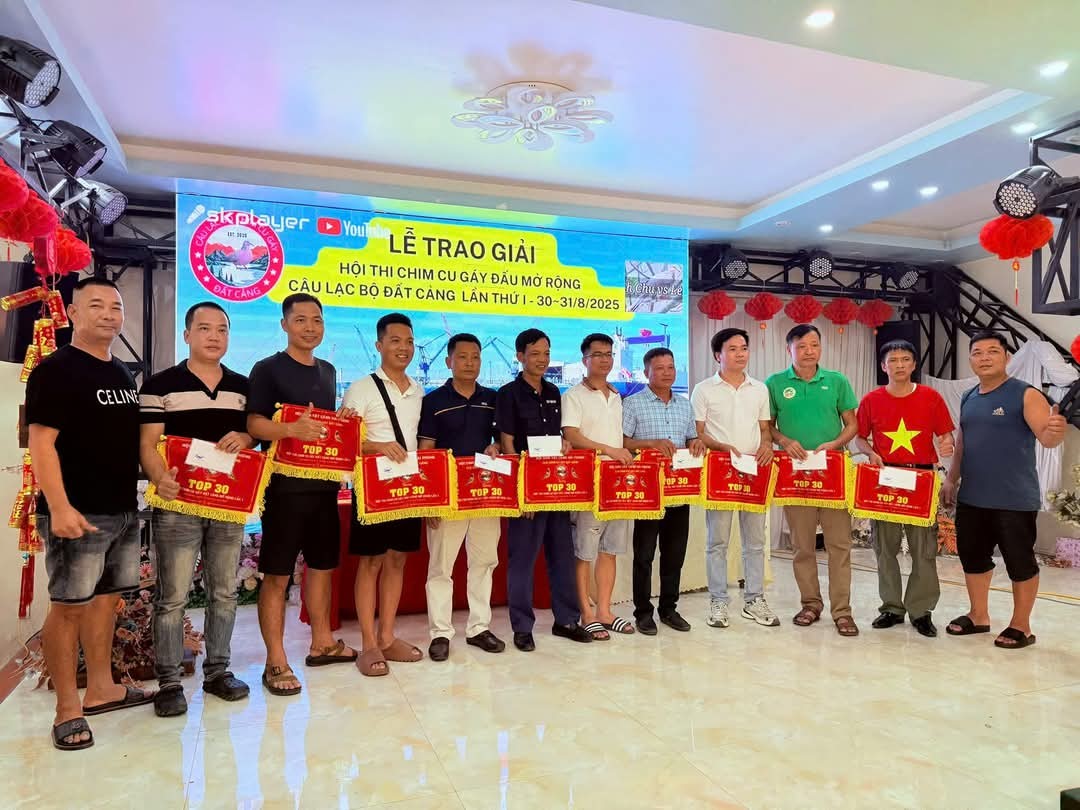 Hải Phòng: Hội thi chim cu gáy đấu Đất Cảng mở rộng lần thứ I