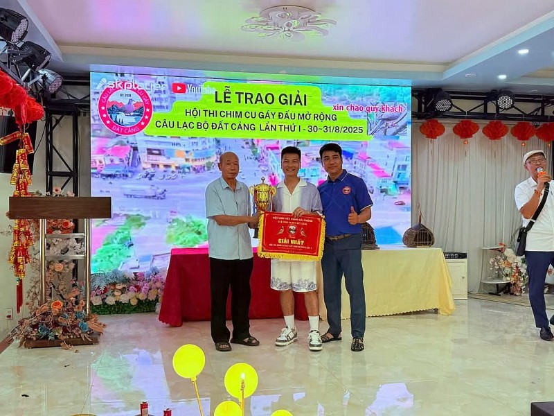 Hải Phòng: Hội thi chim cu gáy đấu Đất Cảng mở rộng lần thứ I – Nơi hội tụ những