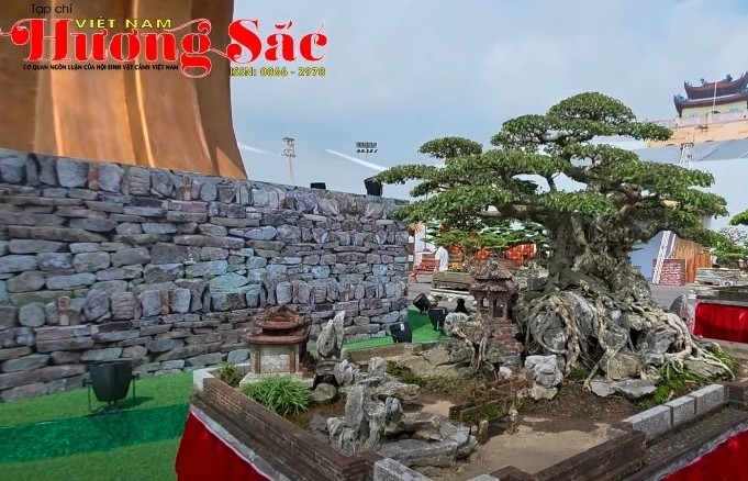 Cận cảnh một số tác phẩn đẹp tại triển lãm cây cảnh tại Đông Anh, Hà Nội