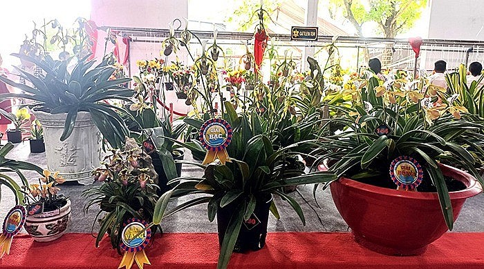 Hội thi và trưng bày hoa lan toàn quốc lần thứ X: Sắc hương hội tụ tại Cần Thơ