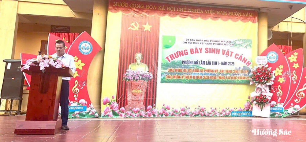 Tuyên Quang: Khai mạc Trưng bày sinh vật cảnh phường Mỹ Lâm lần thứ nhất