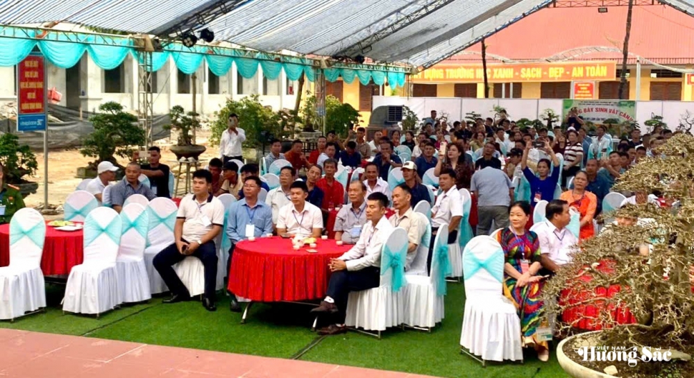 Tuyên Quang: Khai mạc Trưng bày sinh vật cảnh phường Mỹ Lâm lần thứ nhất