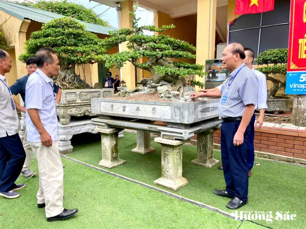 Tuyên Quang: Khai mạc Trưng bày sinh vật cảnh phường Mỹ Lâm lần thứ nhất