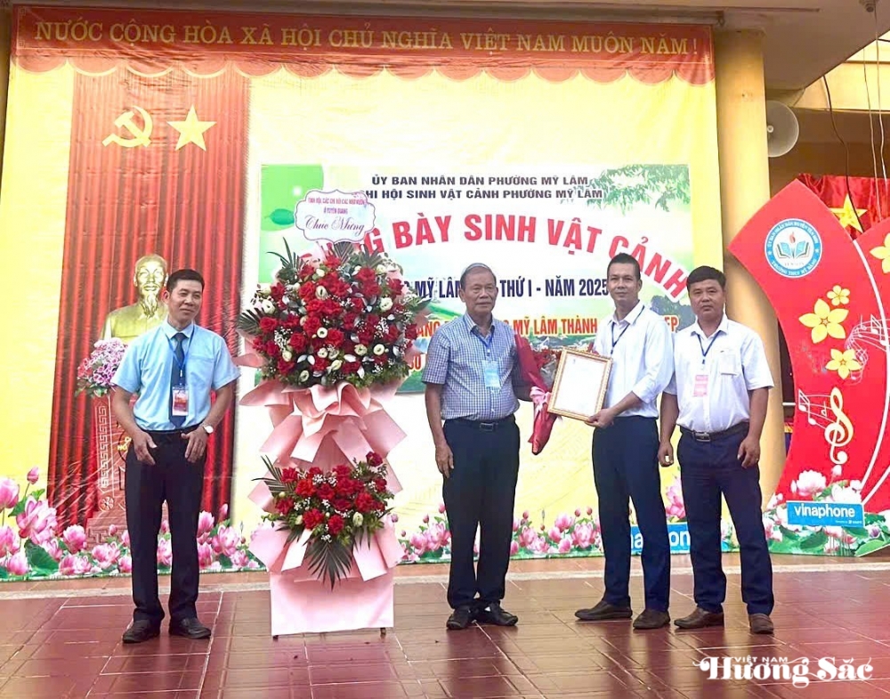 Tuyên Quang: Khai mạc Trưng bày sinh vật cảnh phường Mỹ Lâm lần thứ nhất